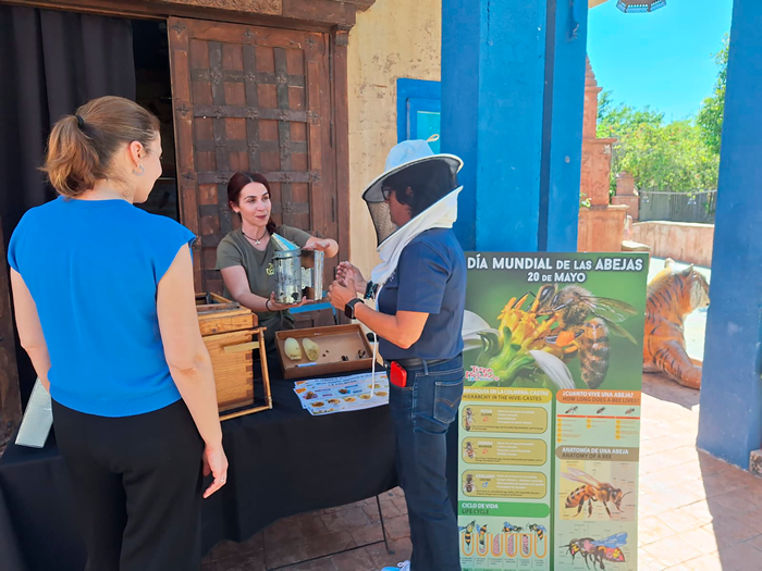 Terra Natura Benidorm world bee day
